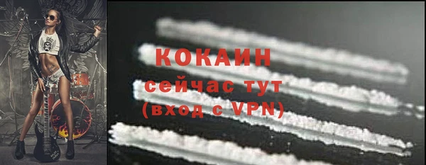 прущие грибы Сосновоборск