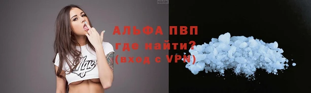 прущие грибы Сосновоборск