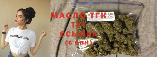 прущие грибы Сосновоборск