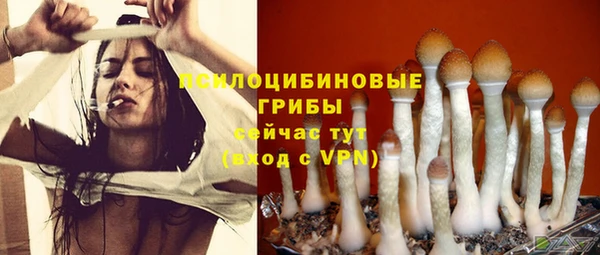 MESCALINE Слюдянка