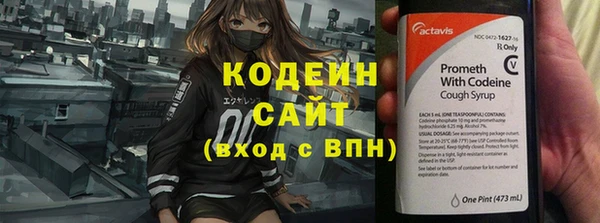 прущие грибы Сосновоборск