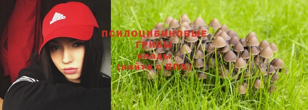 круглые Снежногорск